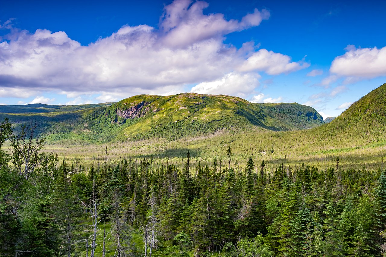 Newfoundland